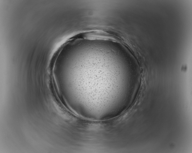 X0000113610342200910021809