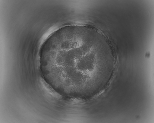 X0000113610343200910021809