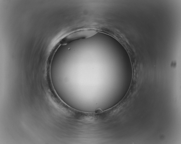 X0000113610344200910021809