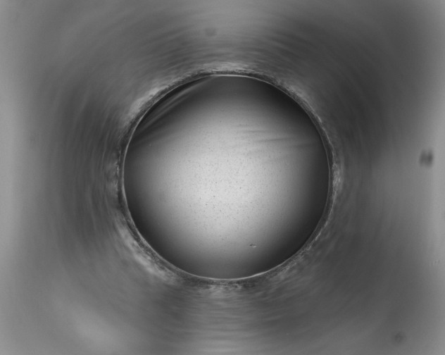 X0000113610345200910021809