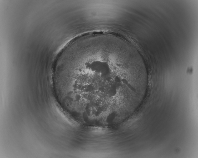 X0000113610347200910021809