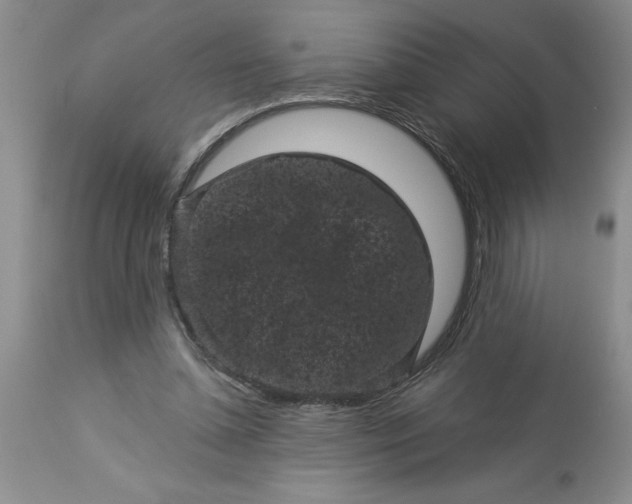 X0000113610348200910021809