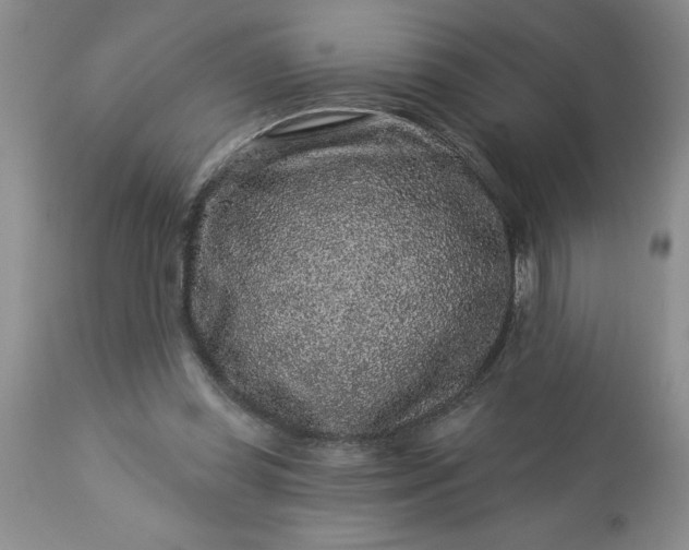 X0000113610349200910021809