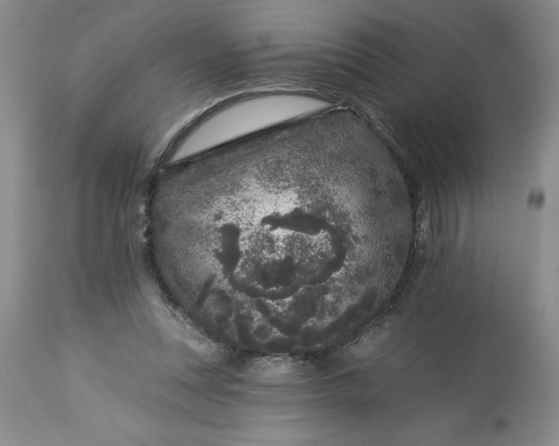 X0000113610351200910021809