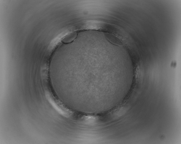 X0000113610352200910021809