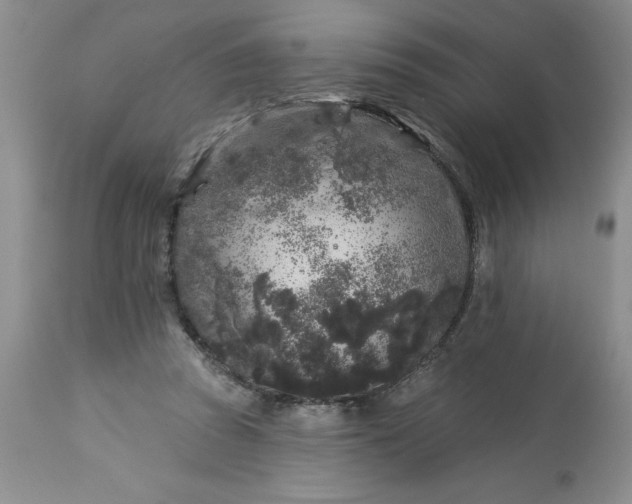 X0000113610353200910021809