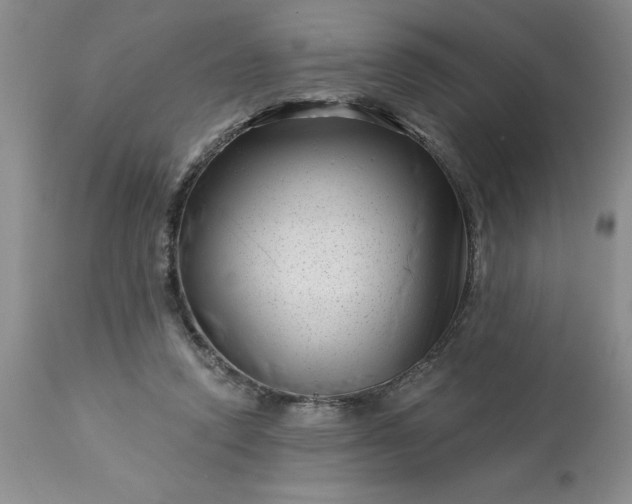 X0000113610354200910021809