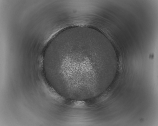 X0000113610355200910021809