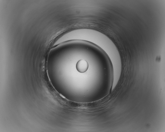 X0000113610356200910021809