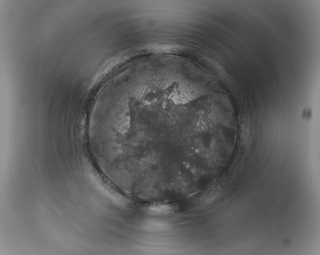 X0000113610357200910021809