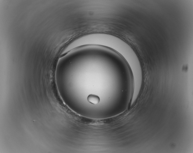 X0000113610362200910021809