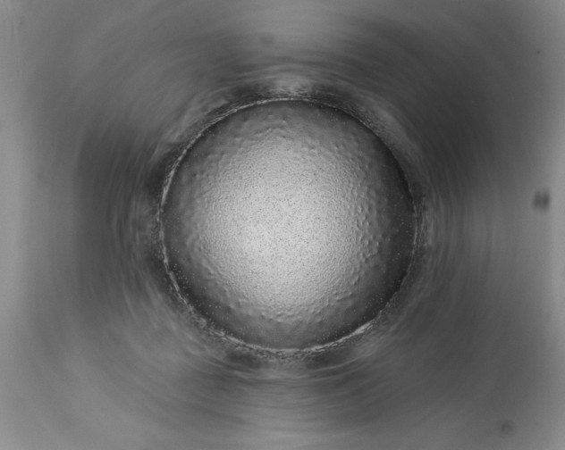 X0000113610363200910021809