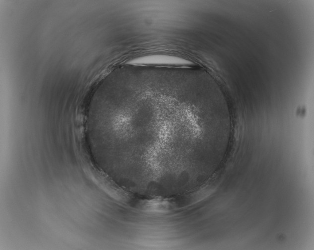 X0000113610366200910021809