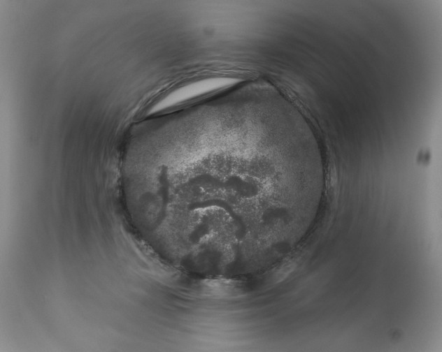 X0000113610367200910021809