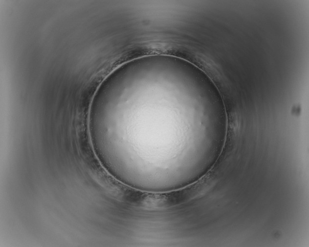 X0000113610369200910021809