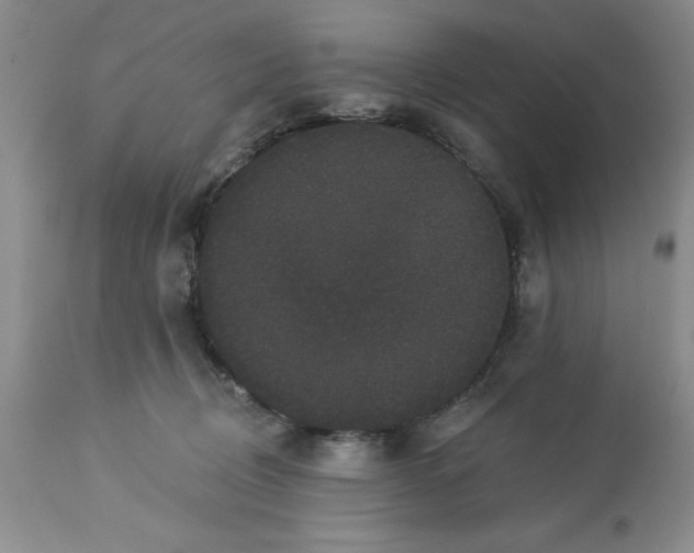 X0000113610370200910021809