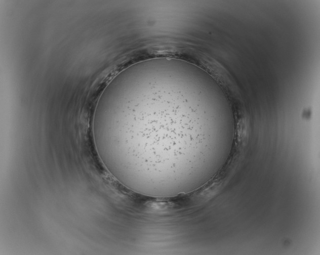 X0000113610372200910021809