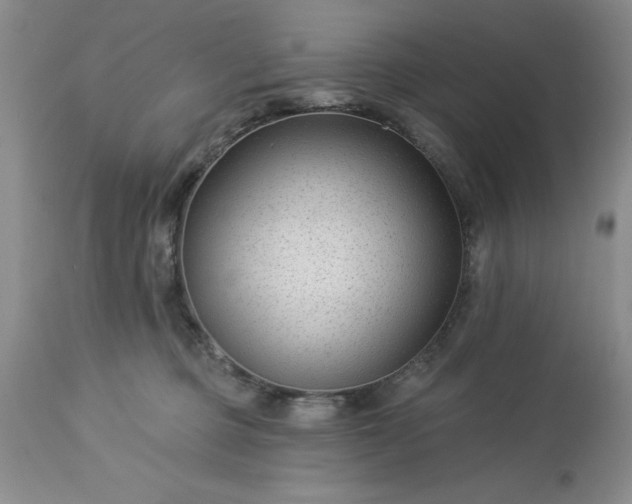 X0000113610373200910021809