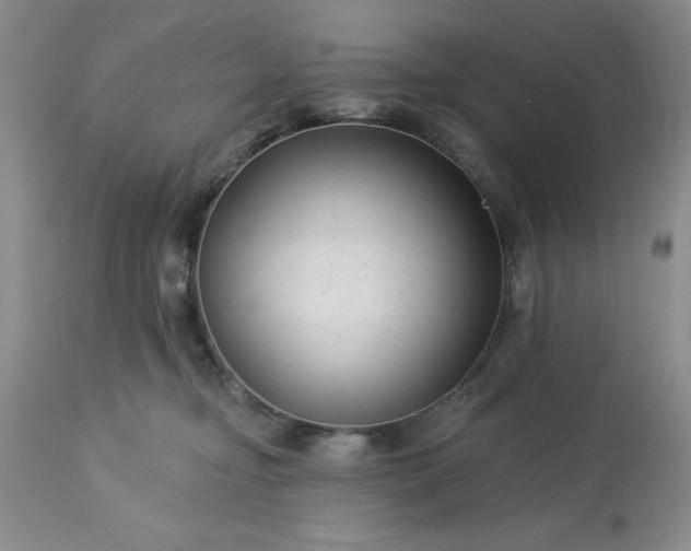 X0000113610374200910021809