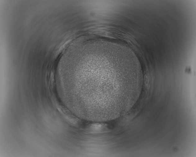 X0000113610375200910021809