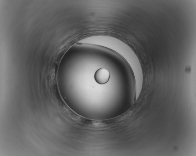 X0000113610376200910021809