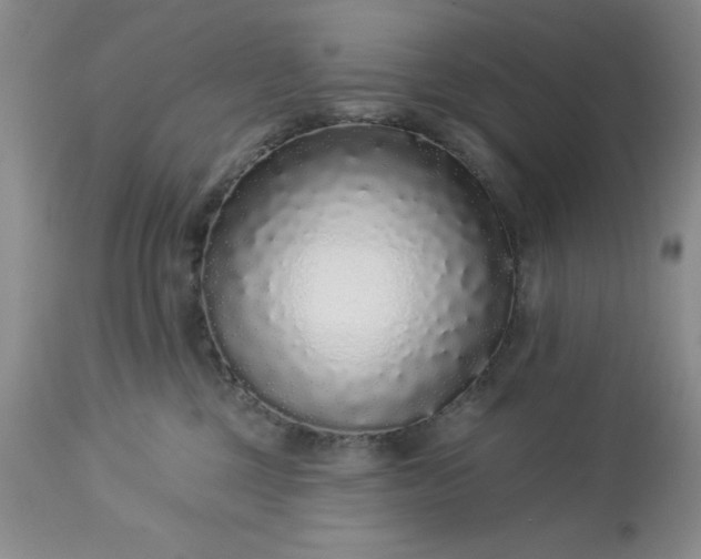 X0000113610377200910021809