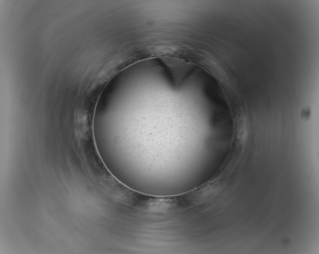 X0000113610378200910021809