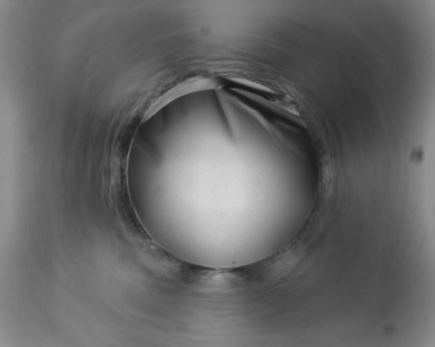 X0000113610379200910021809