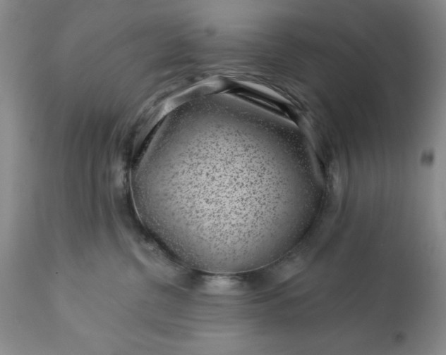 X0000113610380200910021809