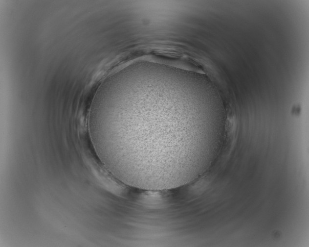 X0000113610381200910021809