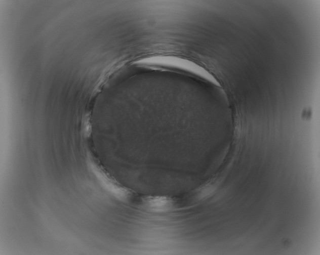 X0000113610383200910021809