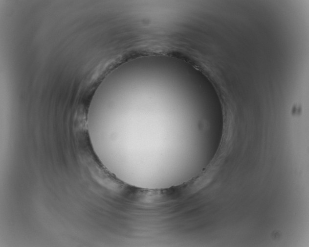 X0000113610384200910021809