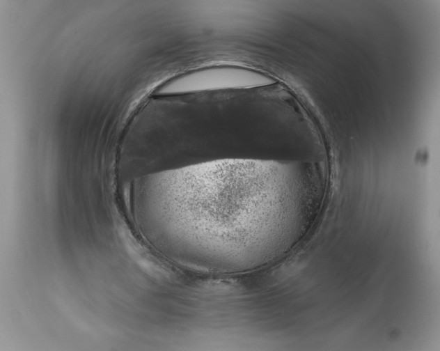 X0000113610386200910021809