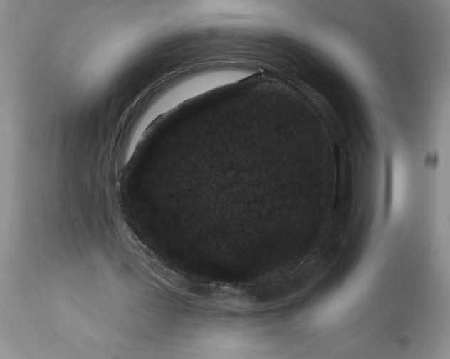 X0000113610387200910021809