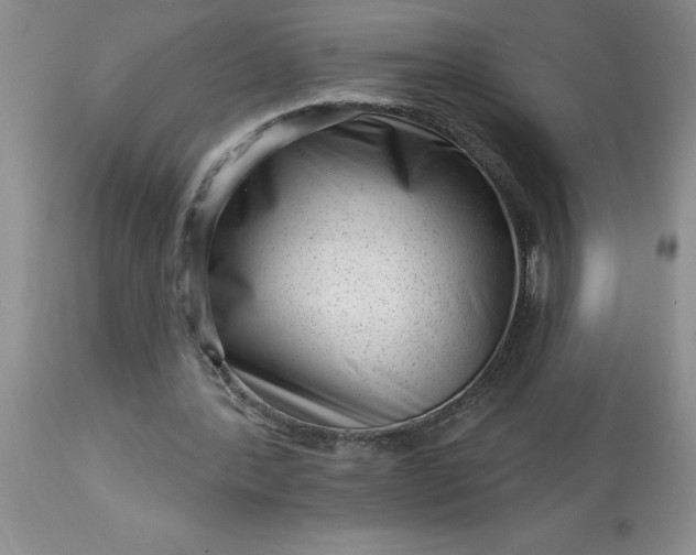 X0000113610388200910021809