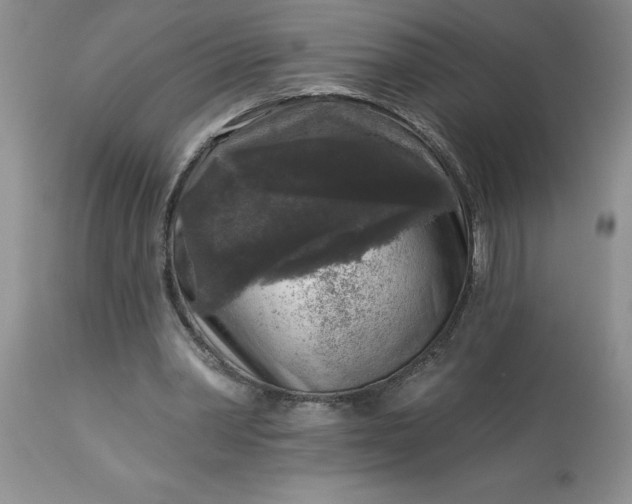 X0000113610390200910021809