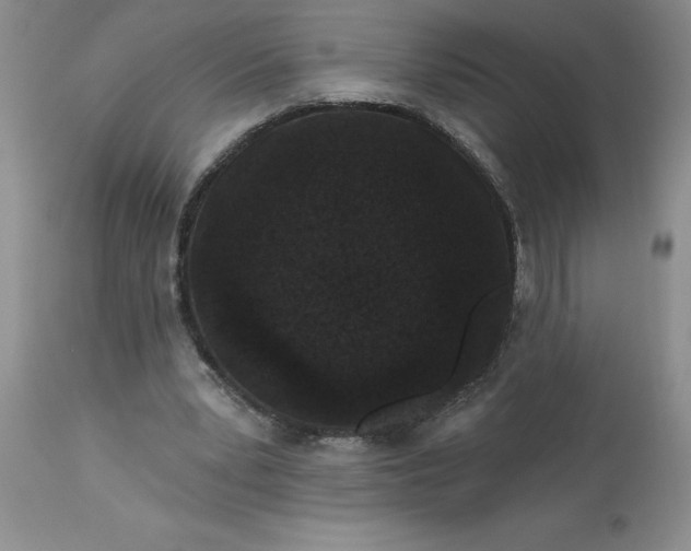 X0000113610391200910021809