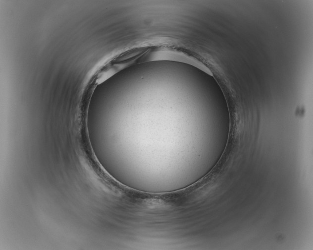 X0000113610392200910021809