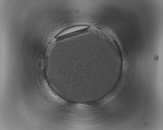 X0000113610393200910021809