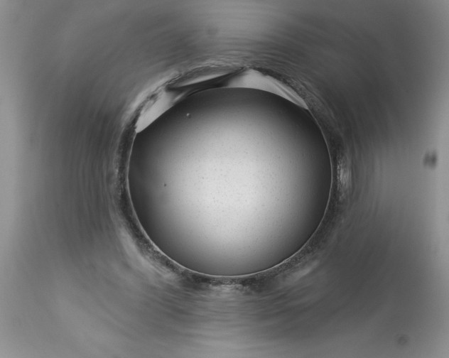 X0000113610396200910021809