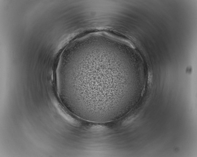 X0000113610397200910021809