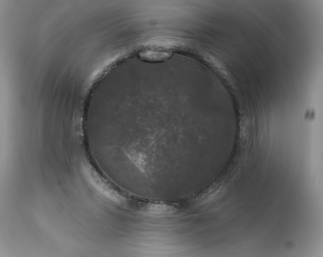 X0000113610399200910021809