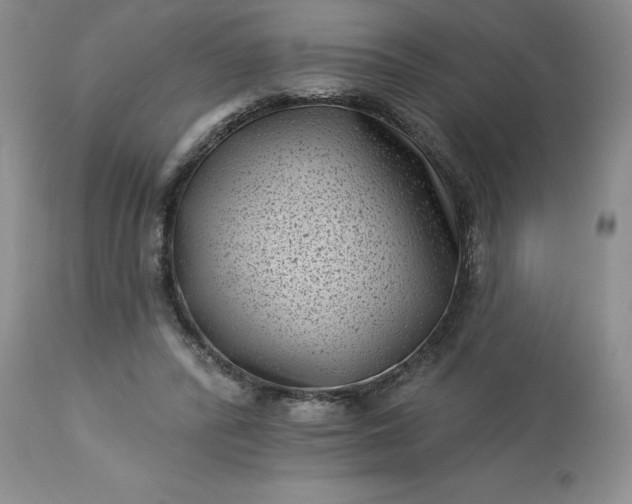 X0000113610400200910021809