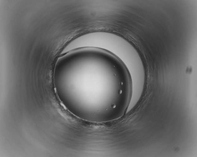 X0000113610401200910021809