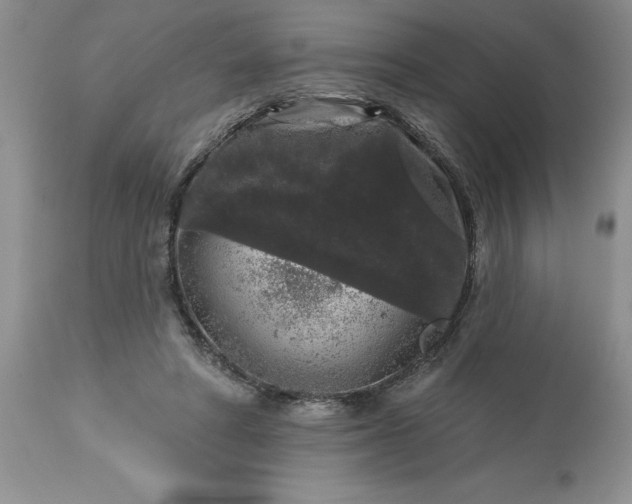 X0000113610402200910021809