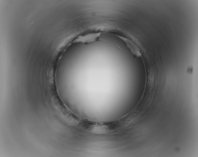 X0000113610403200910021809