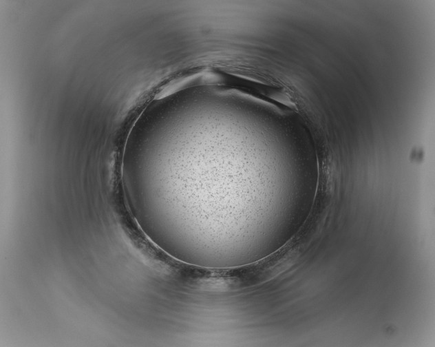 X0000113610404200910021809