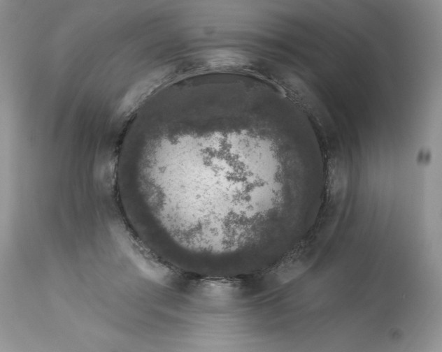 X0000113610405200910021809