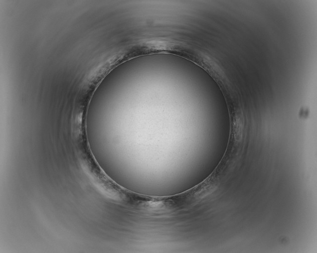 X0000113610406200910021809