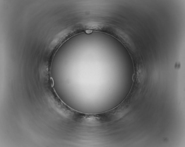 X0000113610407200910021808